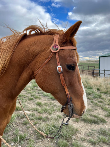 Leather Headstall with Needlepoint Rosettes